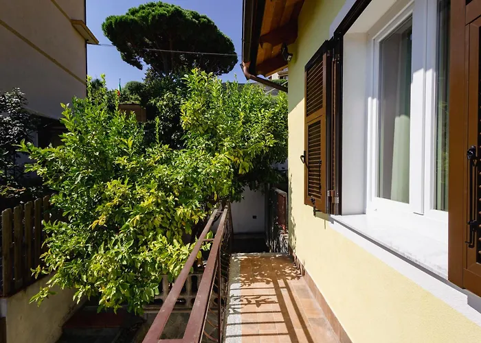Apartman 